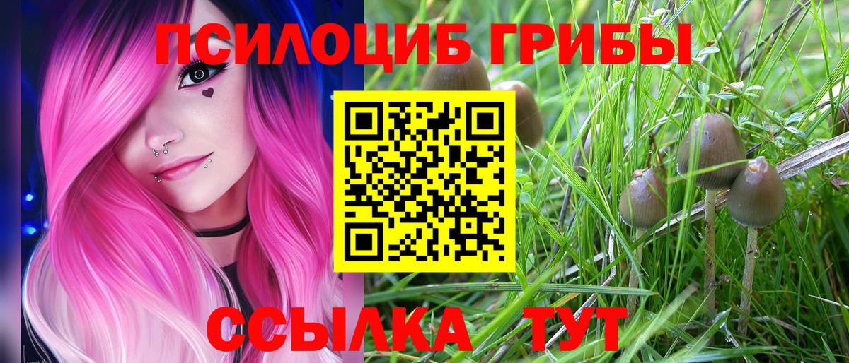 Галлюциногенные грибы MAGIC MUSHROOMS Полевской