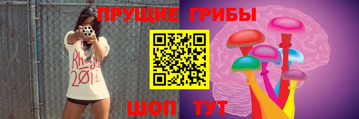 Полевской  Галлюциногенные грибы Cubensis  купить  цена  Вход с VPN 